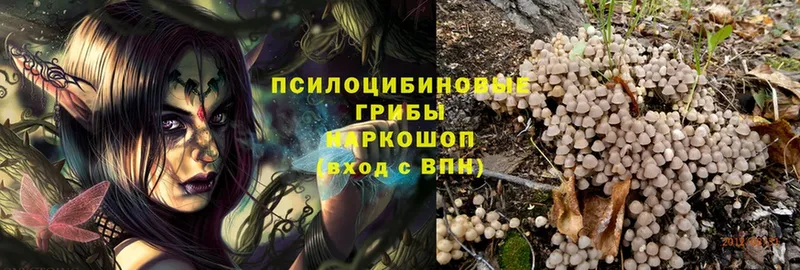 Галлюциногенные грибы MAGIC MUSHROOMS  Братск 